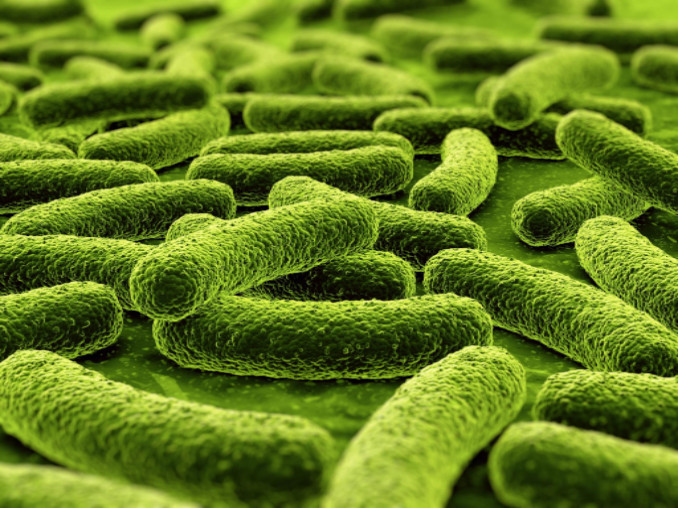 flesh-eating bacteria malpractice suit